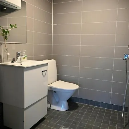 Rauha E, Minikoti Saunalla, Iso Parkkialue