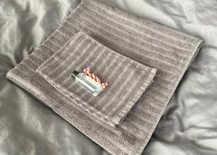 Rauha E Cozy Mini With Sauna & Free Parking