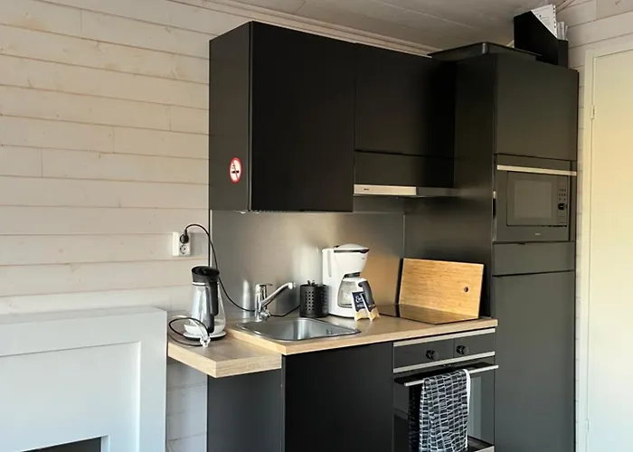 Rauha E Cozy Mini With Sauna & Free Parking Апарт-отель Lumijoki